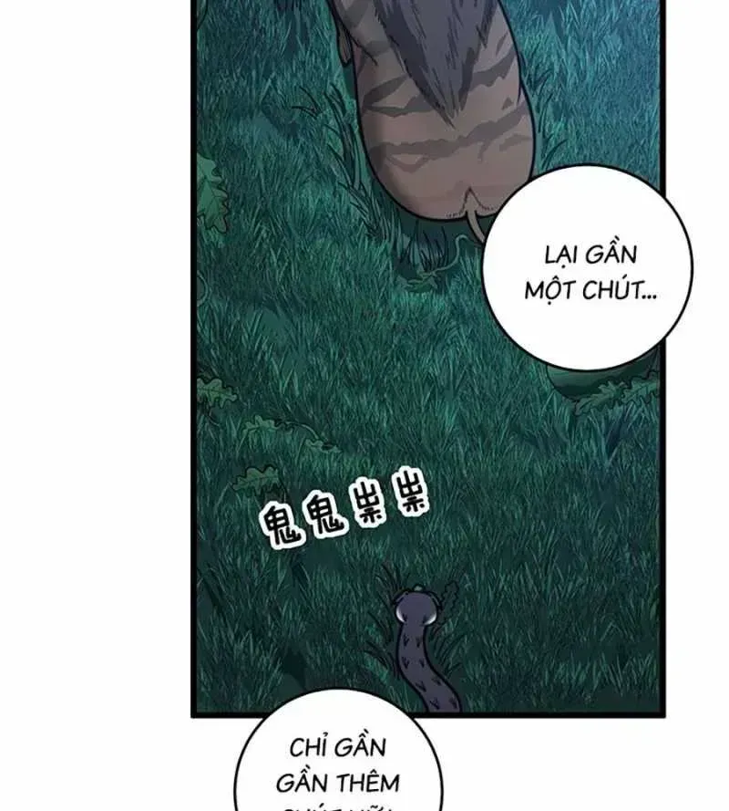 Lão xà tu tiên truyện Chapter 2.4 - 99