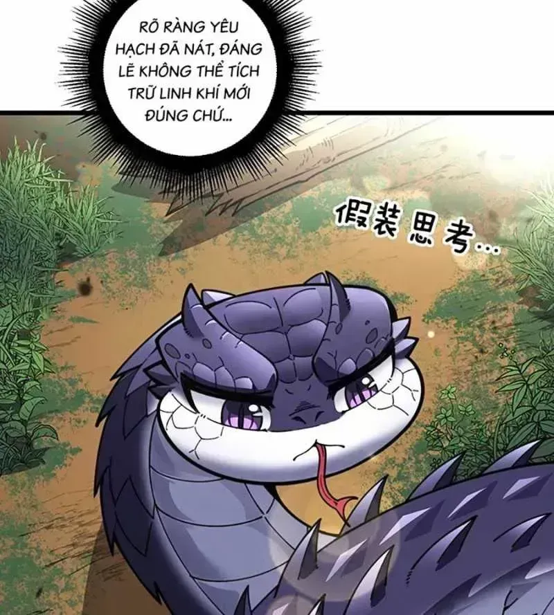 Lão xà tu tiên truyện Chapter 2.8 - 53