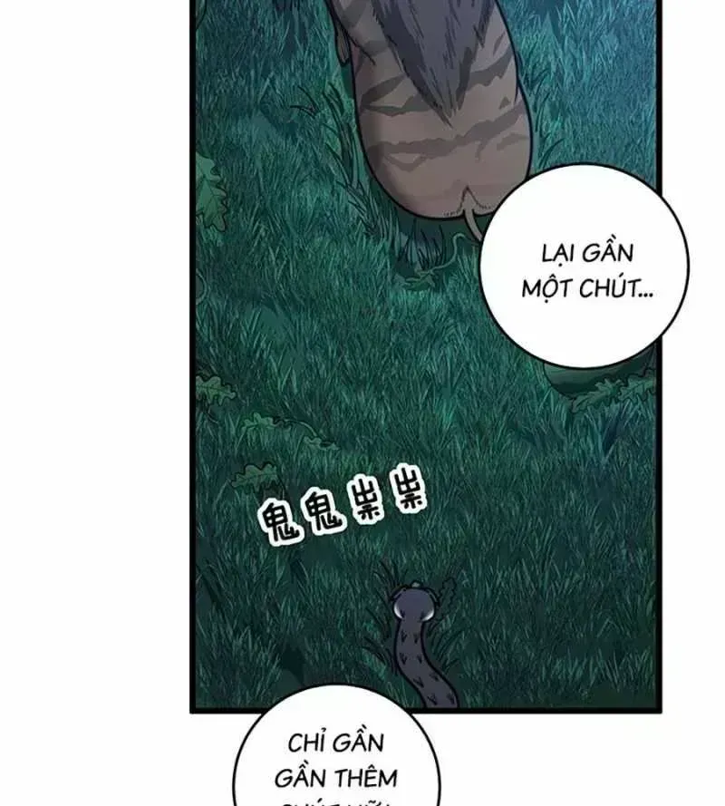 Lão xà tu tiên truyện Chapter 2.9 - 104