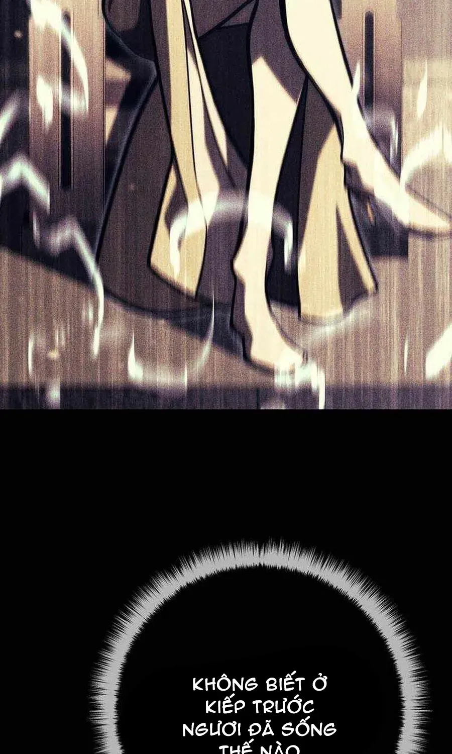 Chuyển Sinh Thành Con Ngoài Giá Thú Của Gia Đình Kiếm Thuật Danh Tiếng Chapter 92 - 81