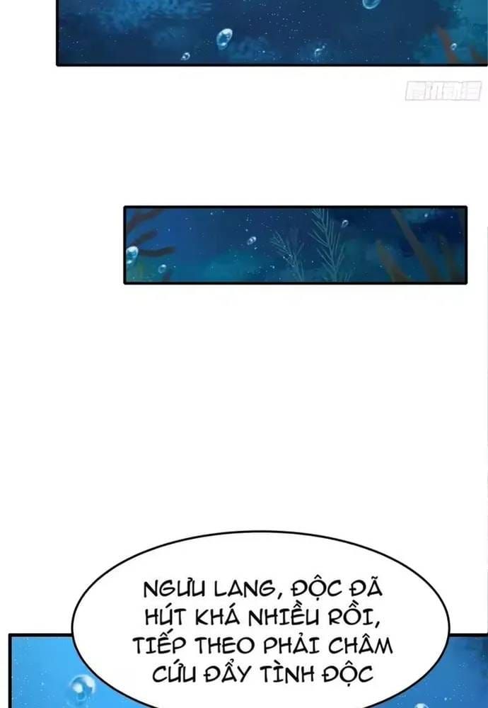 Trụ Vương Tái Sinh Không Muốn Làm Đại Phản Diện Chapter 202 - 21