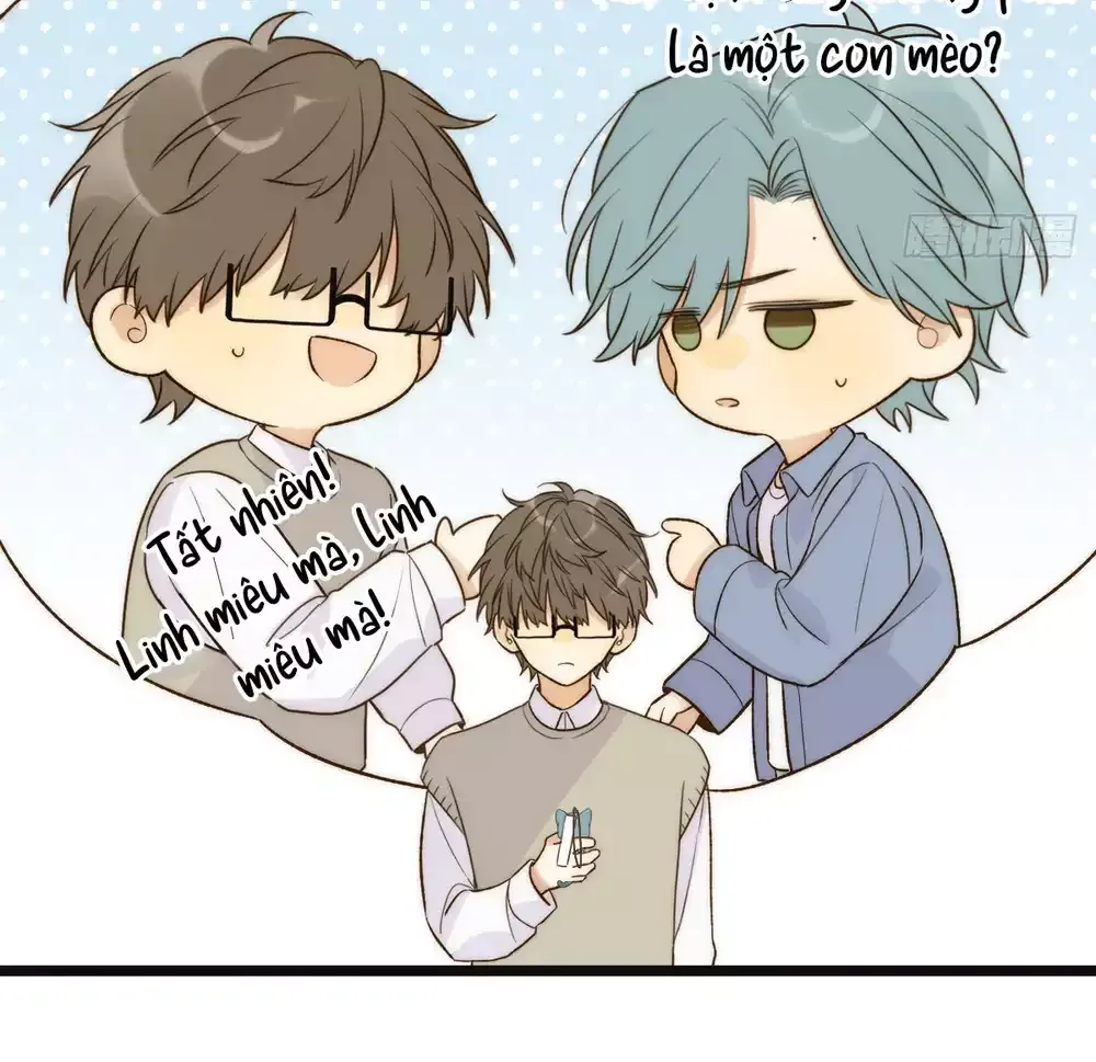 Chỉ Riêng Đuôi Là Không Được!!! Chapter 80 - 16