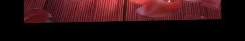 Tân Thiên Sư Chapter 31 - 19