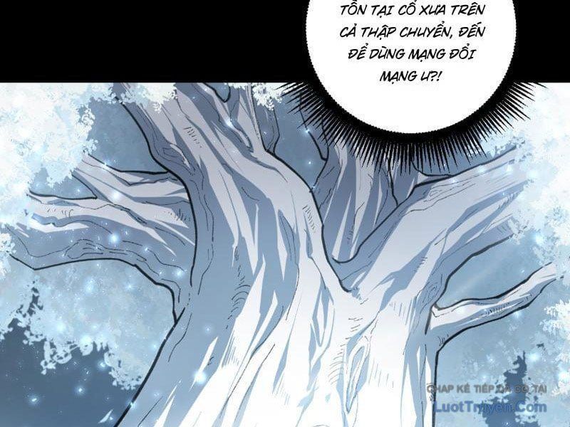 Ta Là Chúa Tể Trùng Độc Chapter 95 - 38