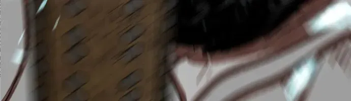 Hàn Băng Liệt Hỏa Chapter 31 - 33