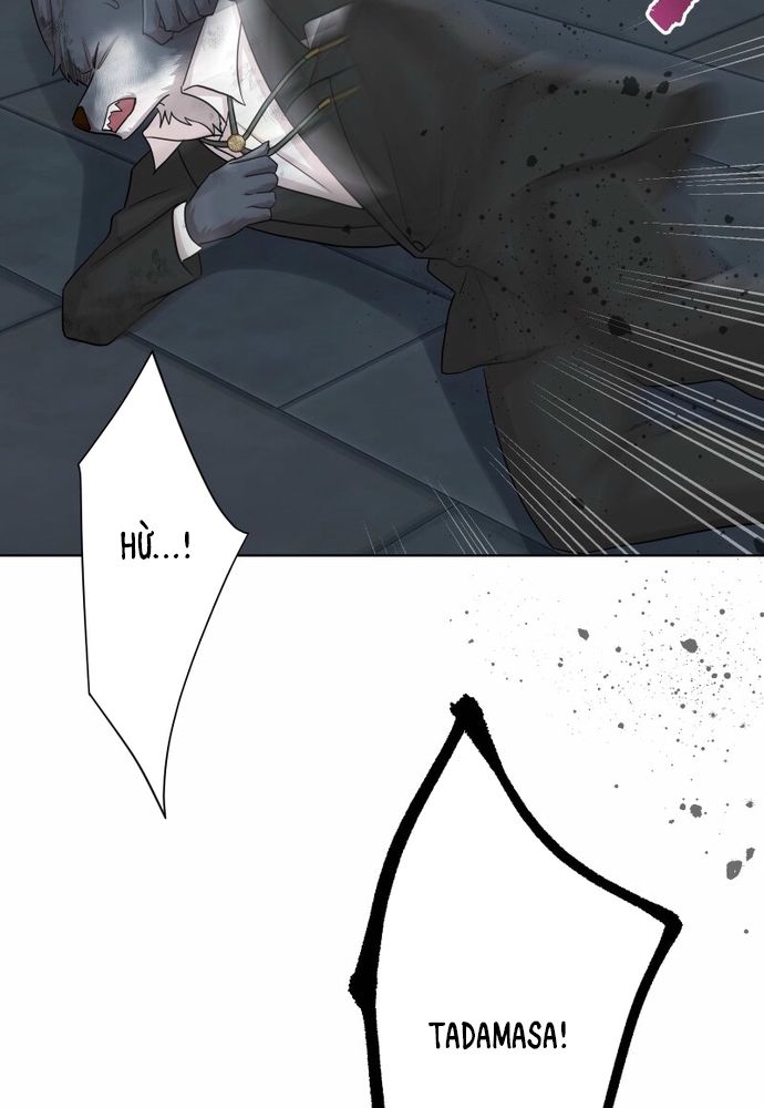 Cô Dâu Của Sói Trắng Chapter 109.1 - 83