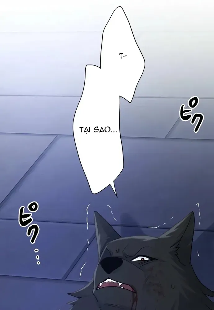 Cô Dâu Của Sói Trắng Chapter 112.1 - 82