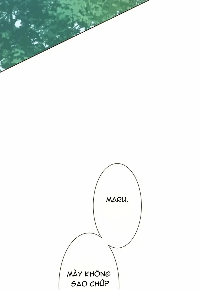 Cô Dâu Của Sói Trắng Chapter 118.1 - 94