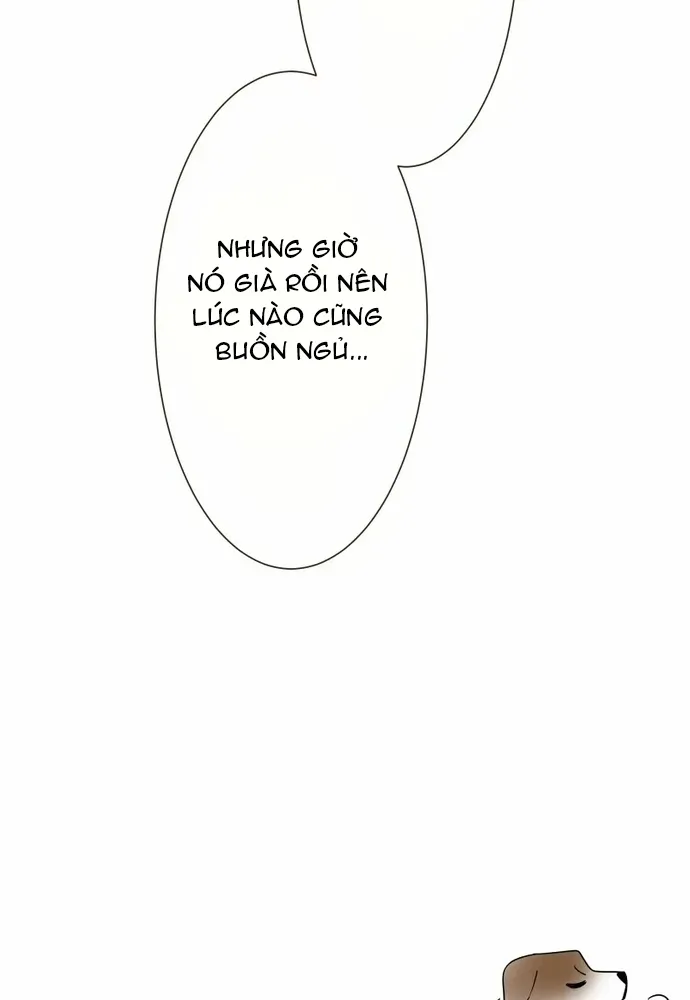 Cô Dâu Của Sói Trắng Chapter 118.1 - 99
