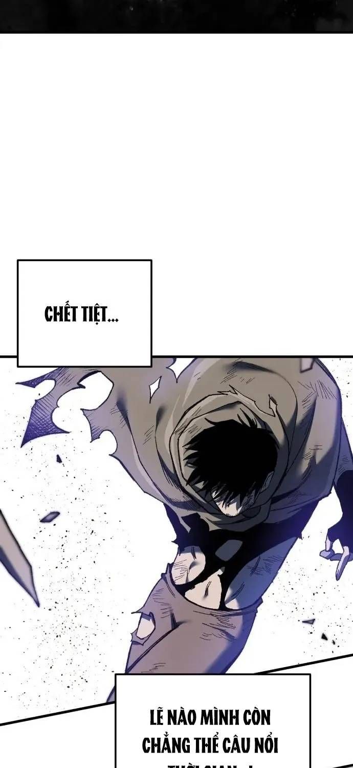 Ngọn Hải Đăng Bình Minh Chapter 75 - 24