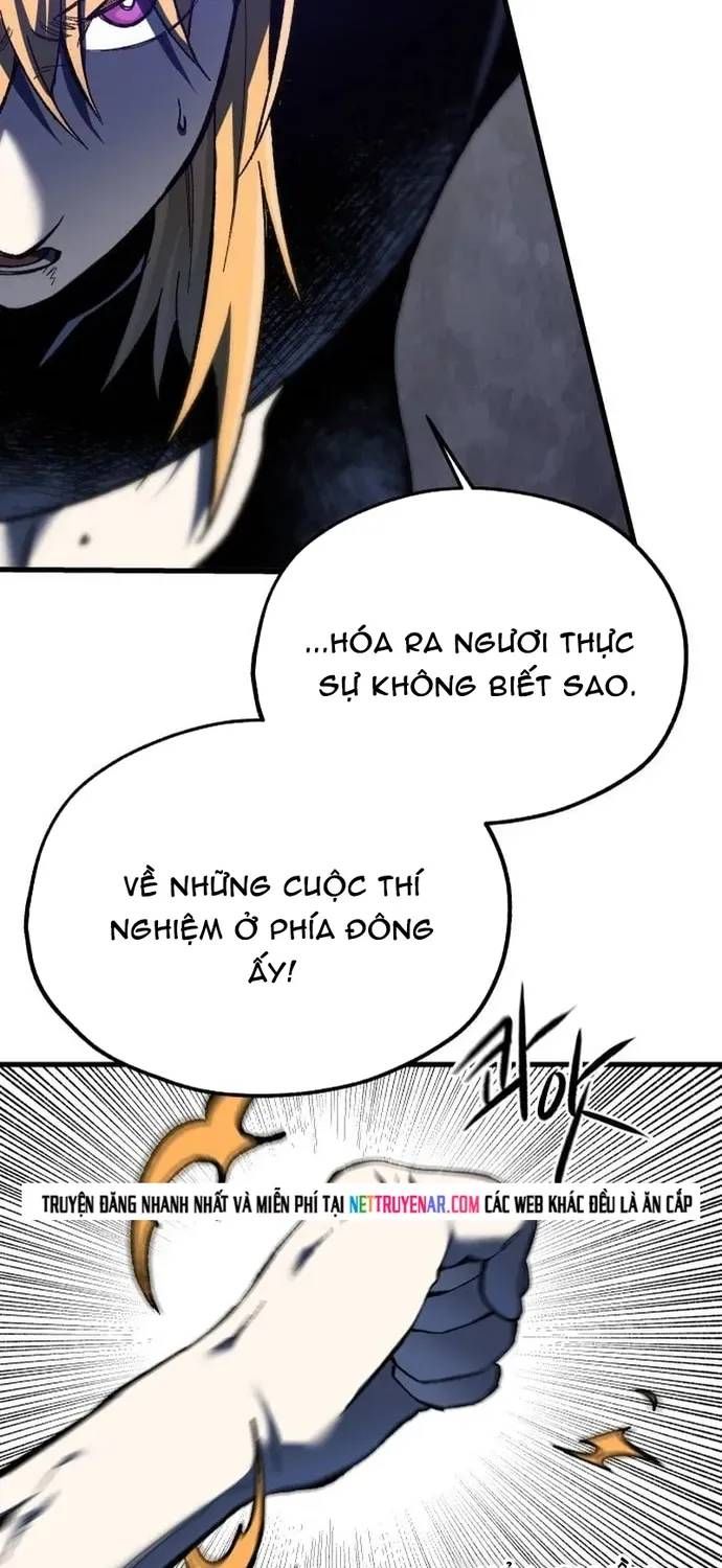Ngọn Hải Đăng Bình Minh Chapter 76 - 11