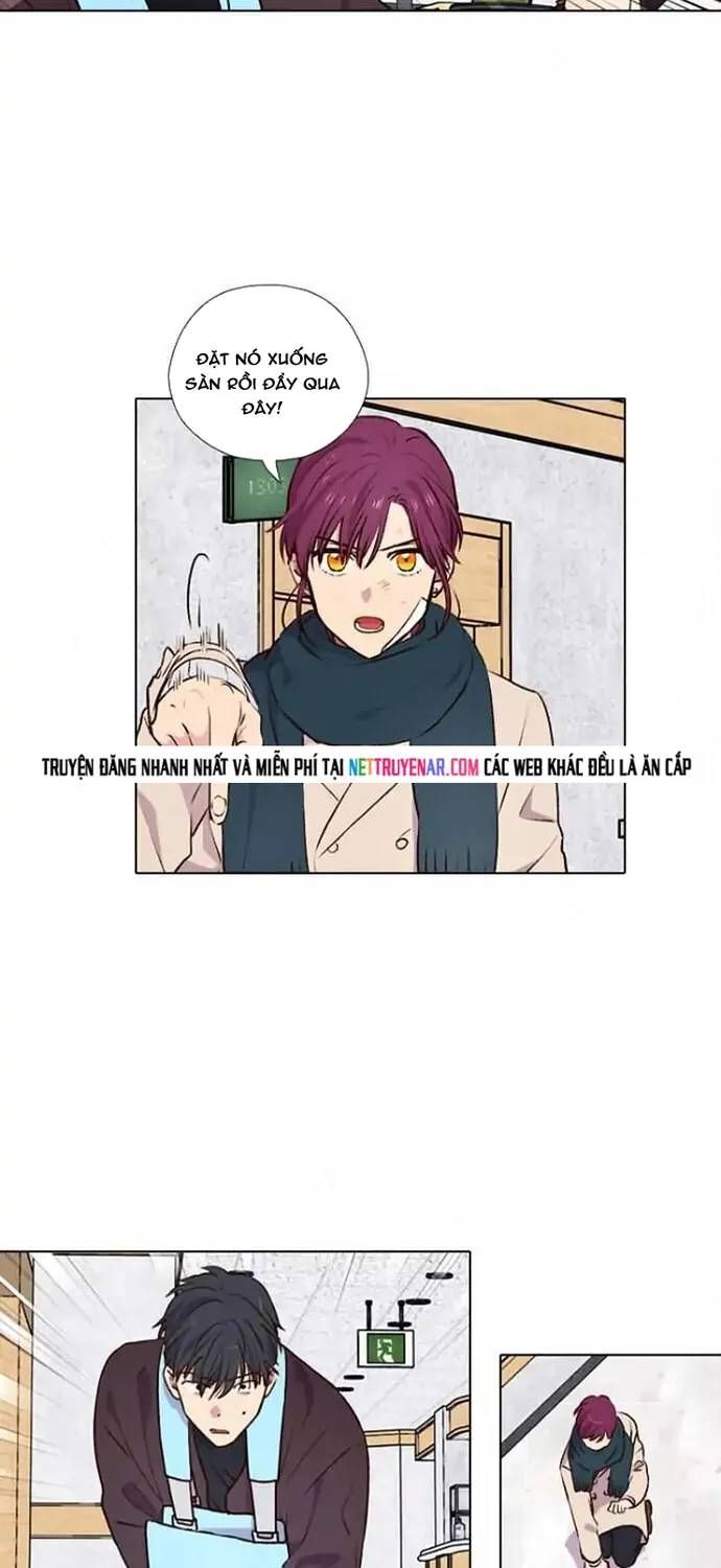 Trăng Lên Ban Ngày Chapter 191 - 11