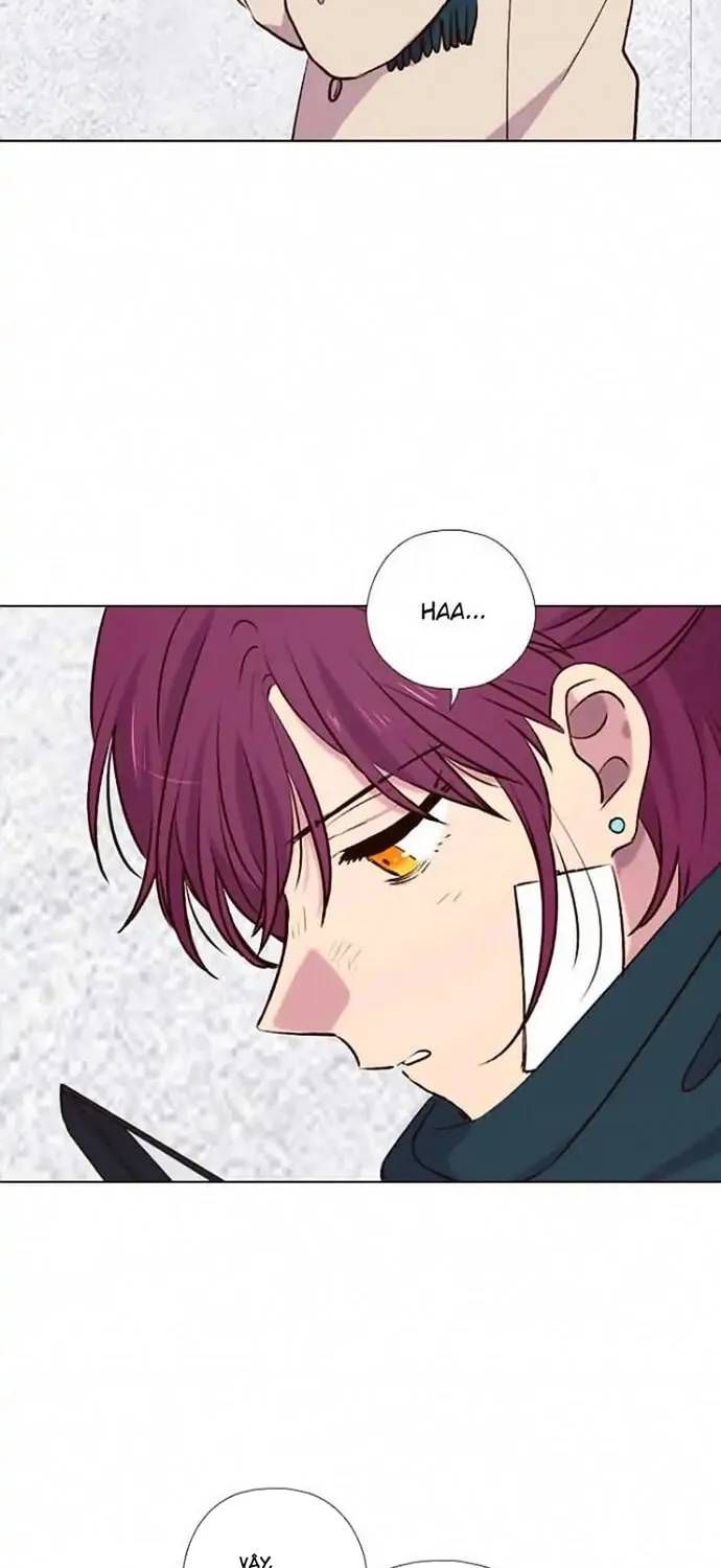 Trăng Lên Ban Ngày Chapter 191 - 13