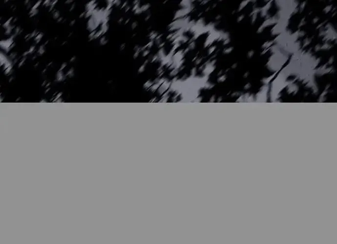 Trăng Lên Ban Ngày Chapter 193 - 12