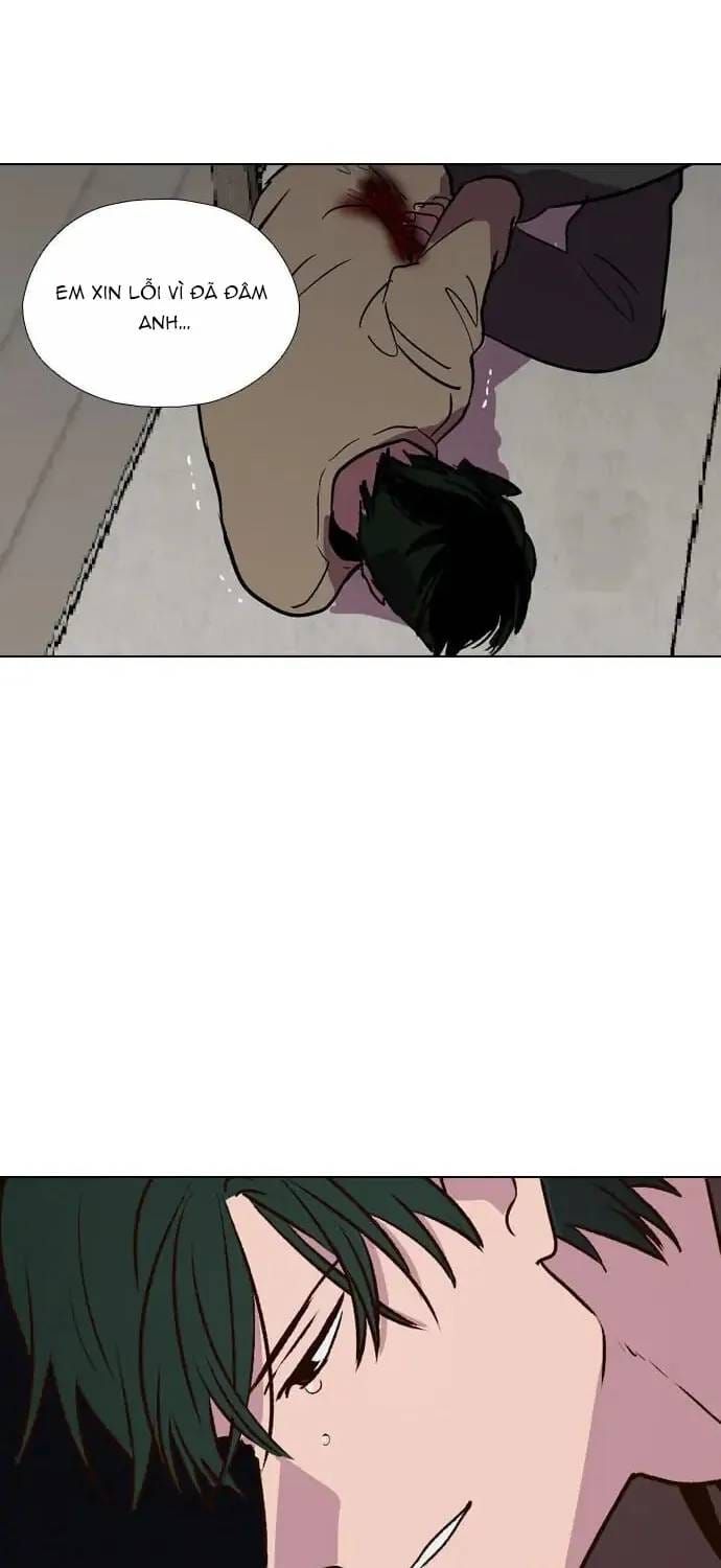 Trăng Lên Ban Ngày Chapter 194 - 52