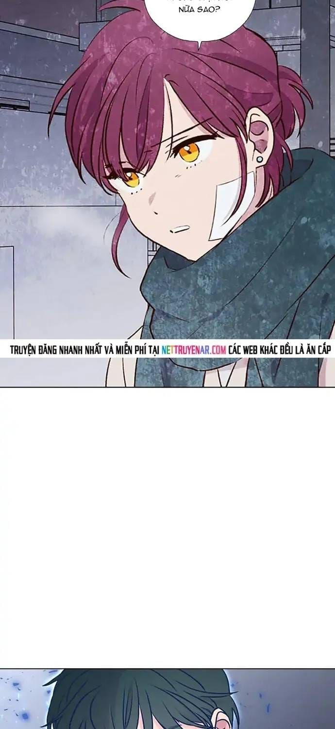 Trăng Lên Ban Ngày Chapter 196 - 31