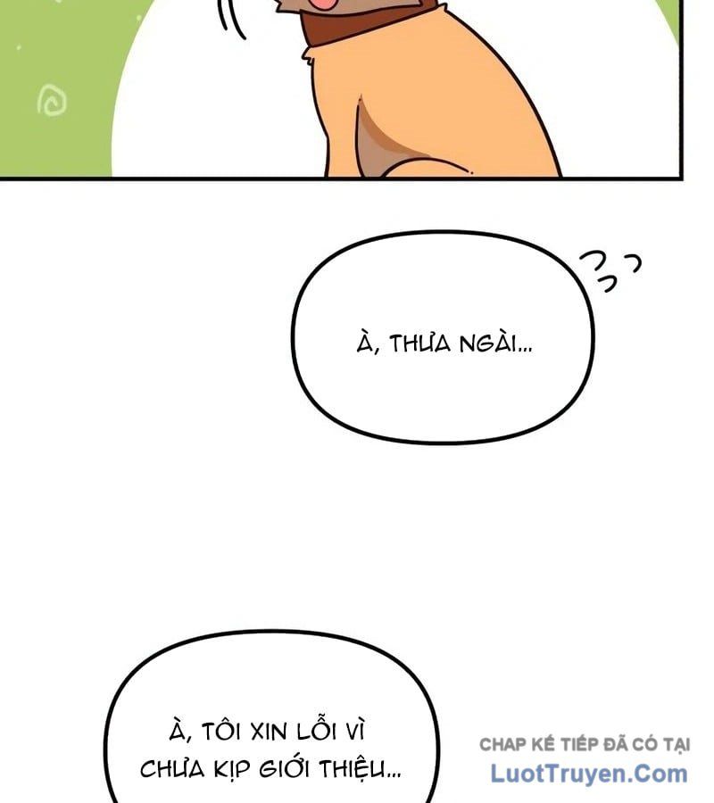 Thiên Tài Bình Dị Chapter 58 - 8