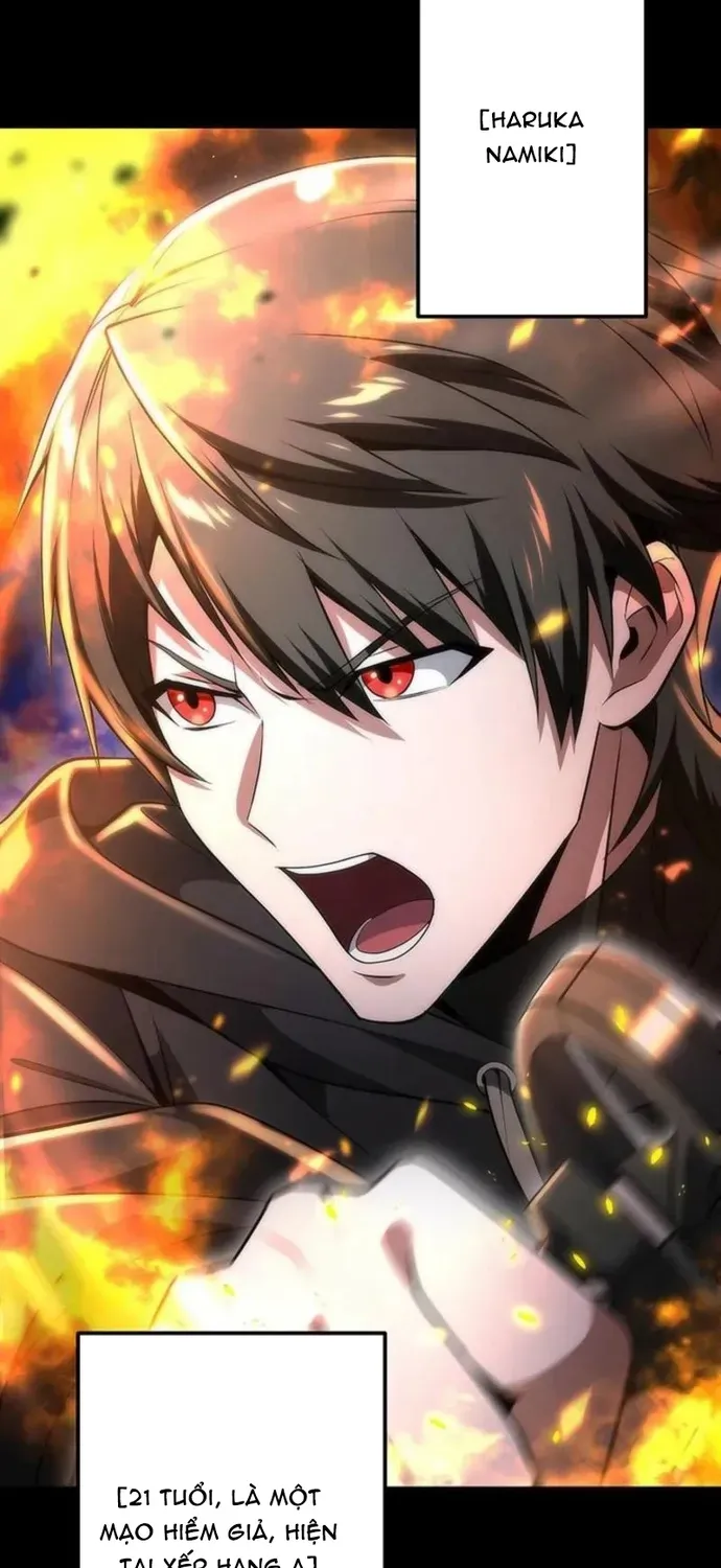 Vượt Cấp Với Kỹ Năng Thần Thánh Chapter 31 - 3