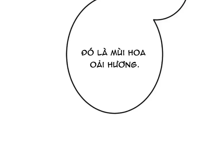 Vượt Cấp Với Kỹ Năng Thần Thánh Chapter 40 - 76