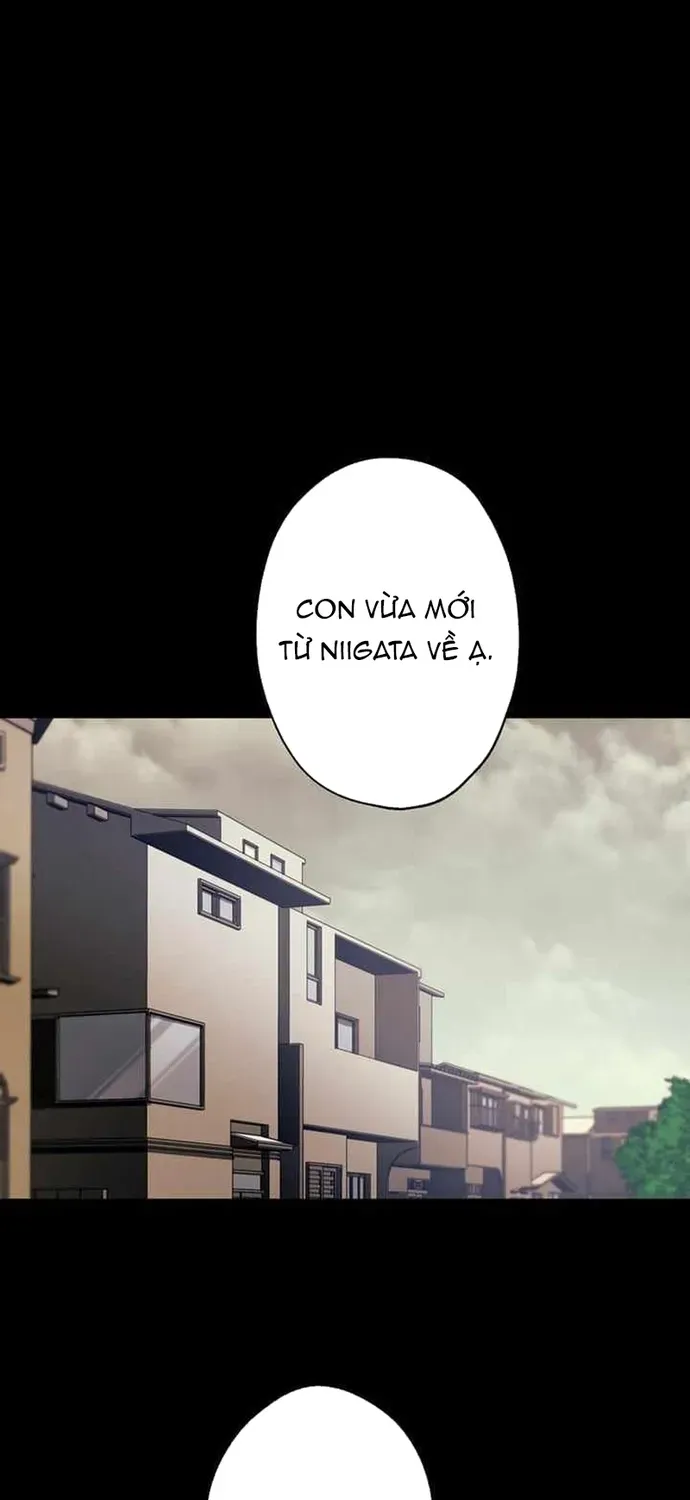 Thánh Y Sa Ngã Trọng Sinh Thành Thần Y Tối Thượng Chapter 51 - 5