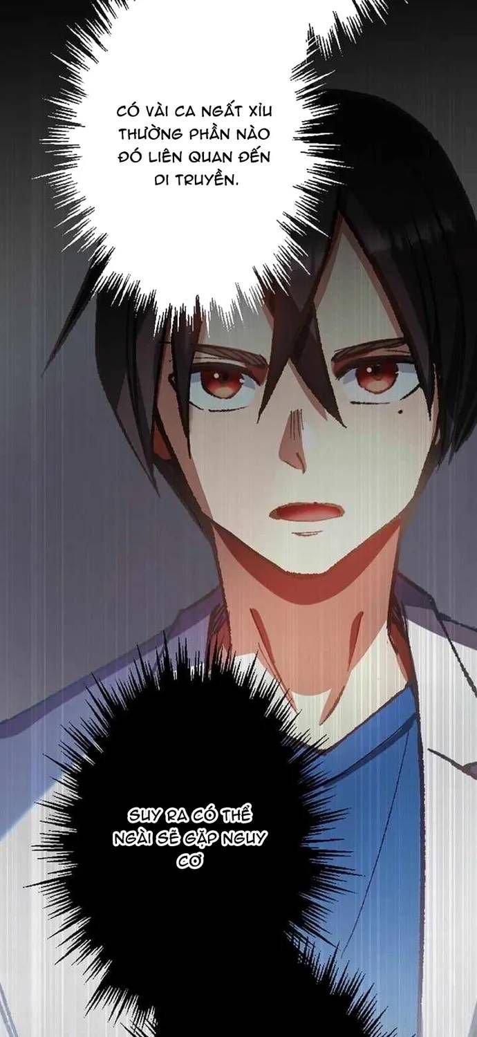 Thánh Y Sa Ngã Trọng Sinh Thành Thần Y Tối Thượng Chapter 52 - 65