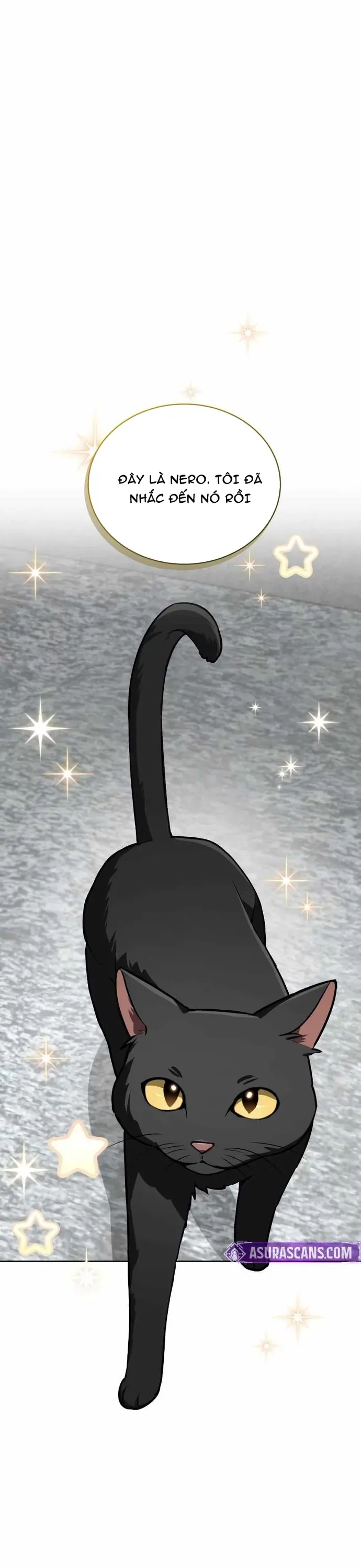 Đa Sắc Ma Pháp Sư Thiên Tài Chapter 63 - 26