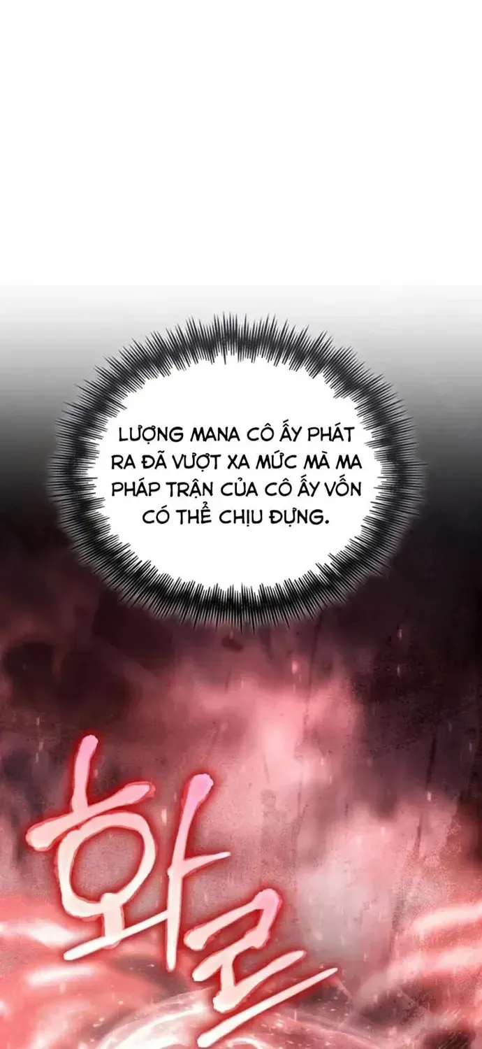 Đa Sắc Ma Pháp Sư Thiên Tài Chapter 67 - 11