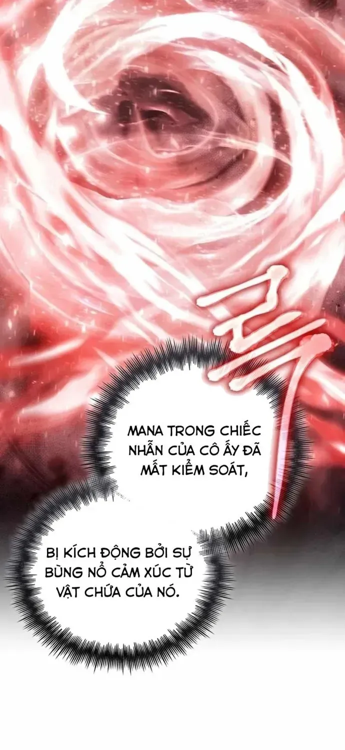 Đa Sắc Ma Pháp Sư Thiên Tài Chapter 67 - 12