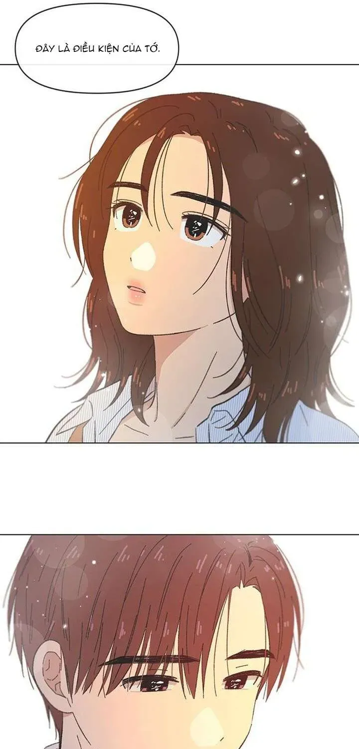 Seasons Of Lovesome Chapter 55 - 22