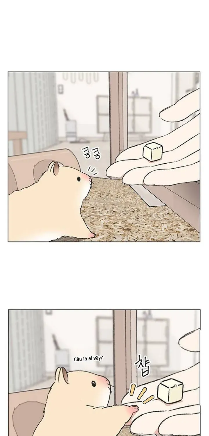 Seasons Of Lovesome Chapter 60 - 11