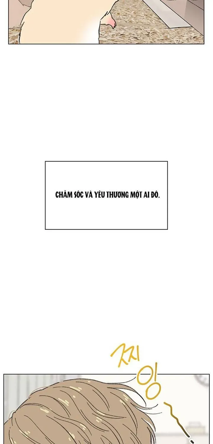 Seasons Of Lovesome Chapter 60 - 12