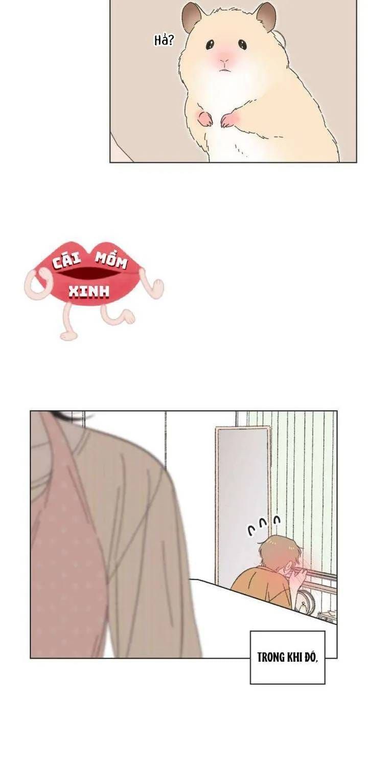 Seasons Of Lovesome Chapter 61 - 12