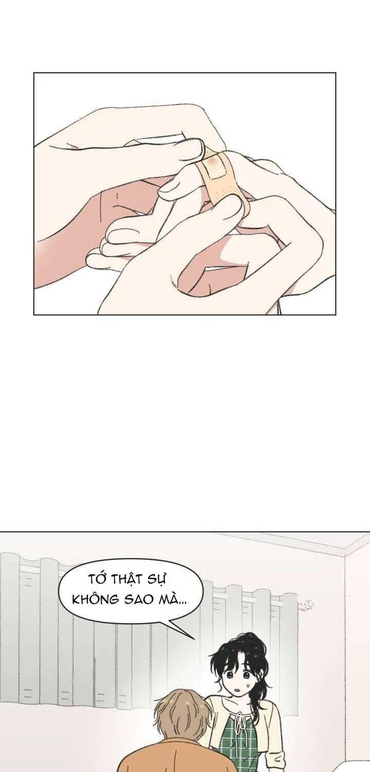 Seasons Of Lovesome Chapter 61 - 23