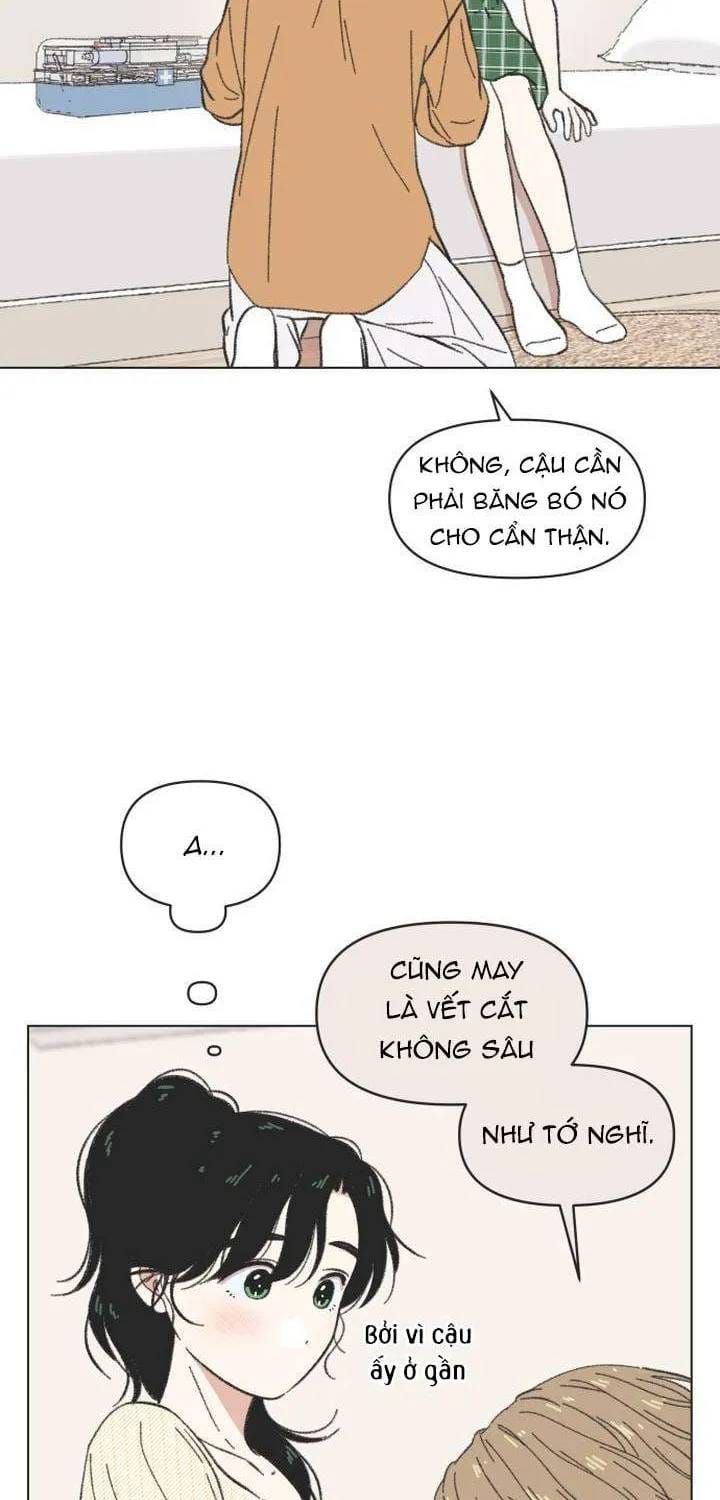 Seasons Of Lovesome Chapter 61 - 24