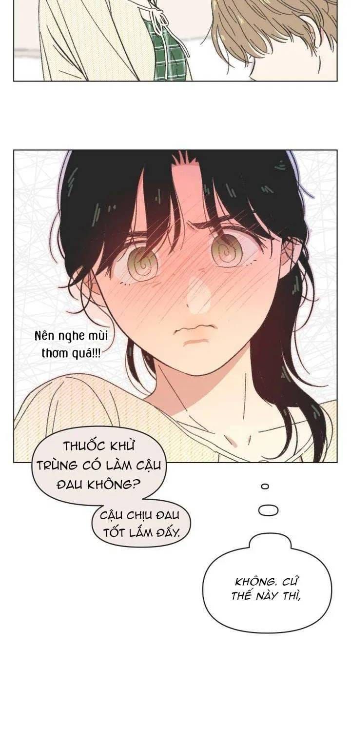 Seasons Of Lovesome Chapter 61 - 25