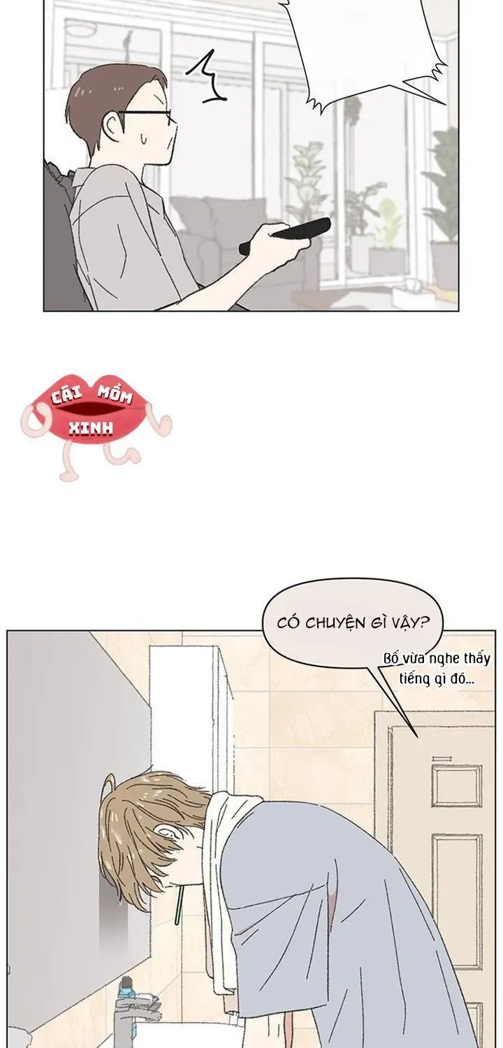 Seasons Of Lovesome Chapter 62 - 12