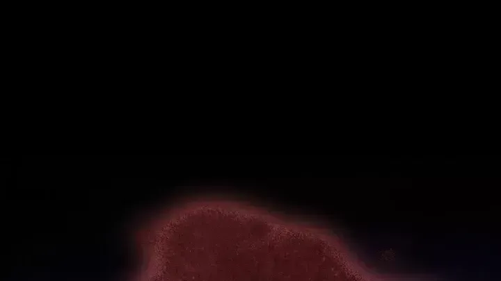 Thiếu Gia Chủ Của Gia Tộc Tử Linh Sư Chapter 62.5 - 174