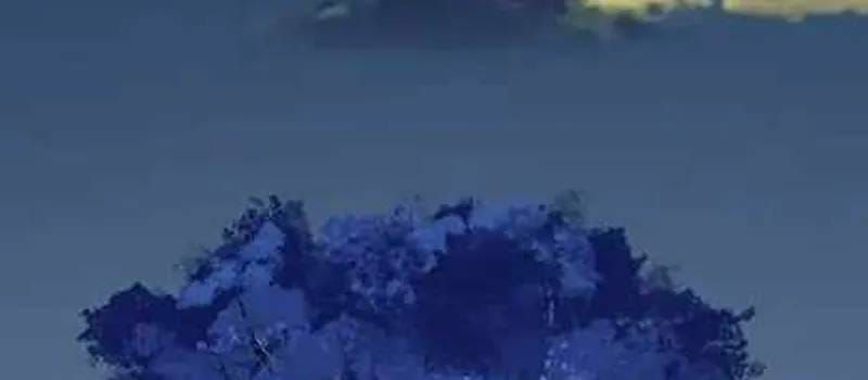 Thợ Săn Nguyên Thủy Chapter 108 - 80