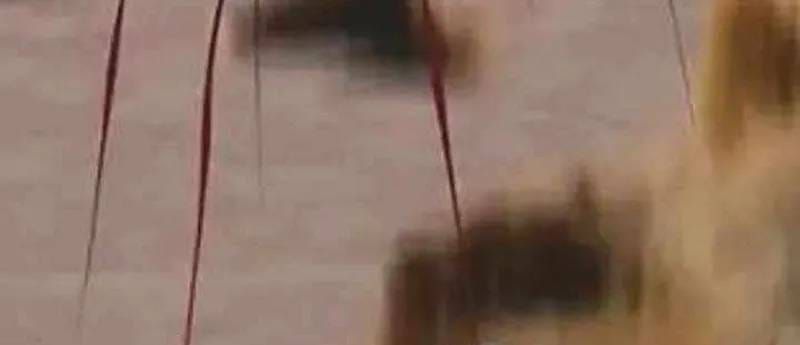 Thợ Săn Nguyên Thủy Chapter 109 - 191