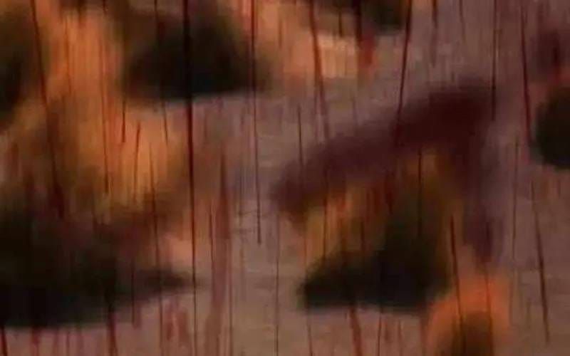 Thợ Săn Nguyên Thủy Chapter 109 - 242