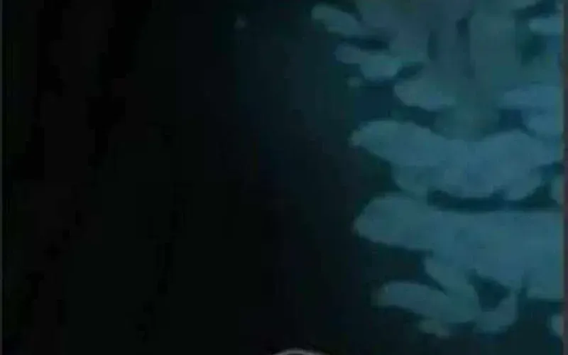 Thợ Săn Nguyên Thủy Chapter 109 - 57