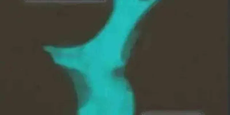 Thợ Săn Nguyên Thủy Chapter 109 - 65