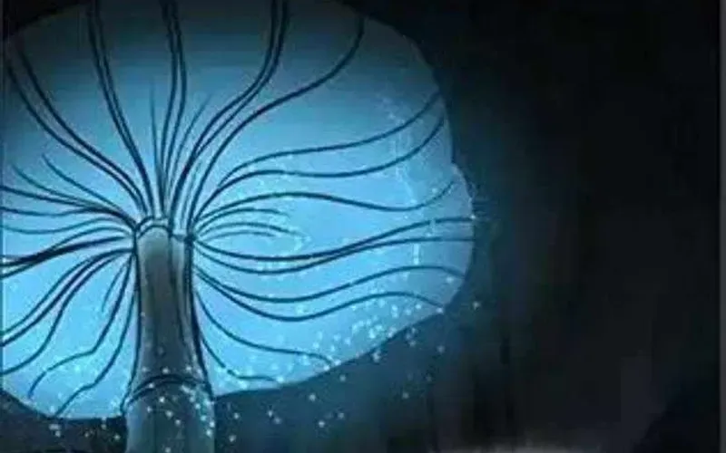 Thợ Săn Nguyên Thủy Chapter 109 - 70