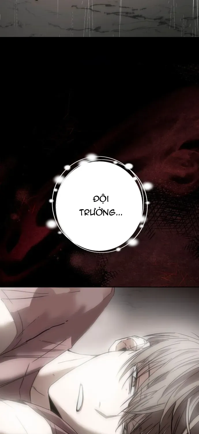 Ngôi Sao Đỉnh Lưu Chapter 49 - 52