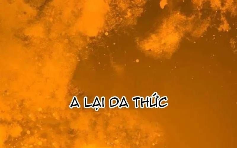 Đại Thánh Trùng Sinh Nam Cung Thế Gia Chapter 59 - 125