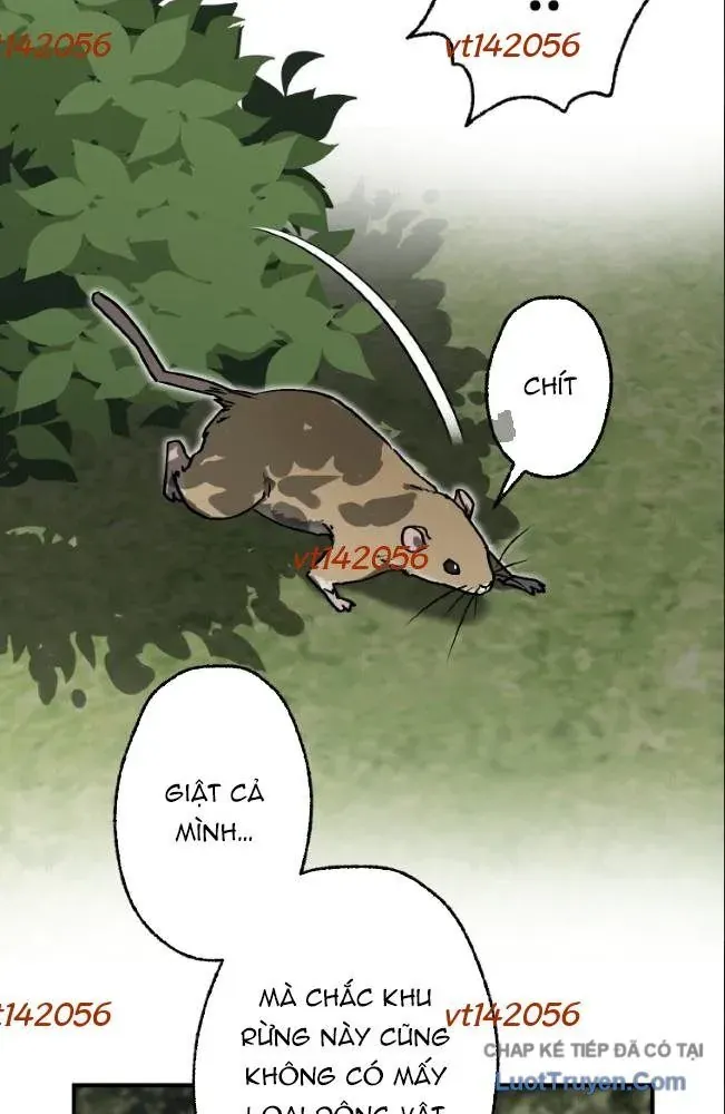 Quý Tộc Báo Thù Chapter 43 - 54
