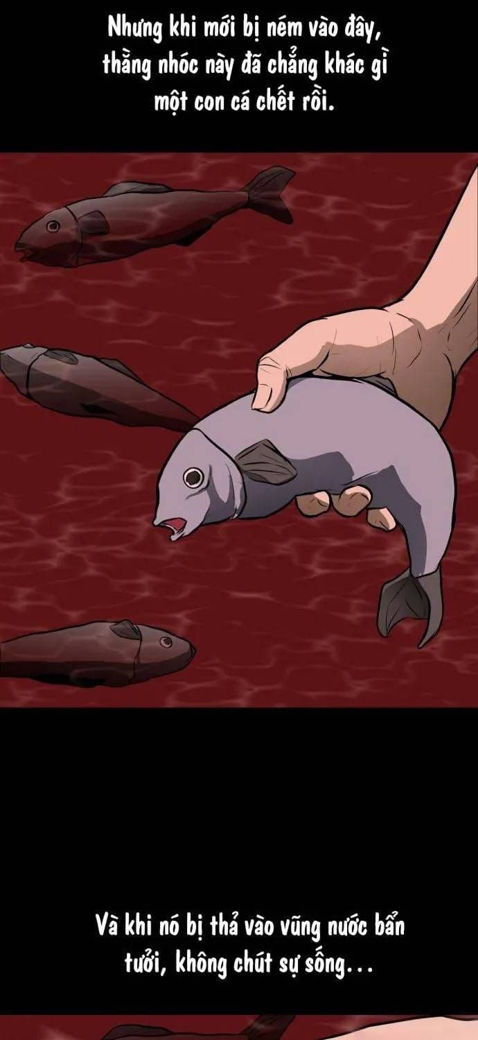 Đấu Sĩ Xác Sống Chapter 37 - 43