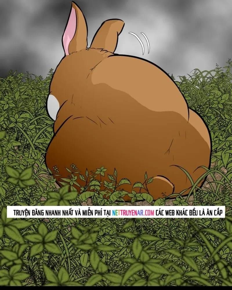 Đấu Sĩ Xác Sống Chapter 53 - 38