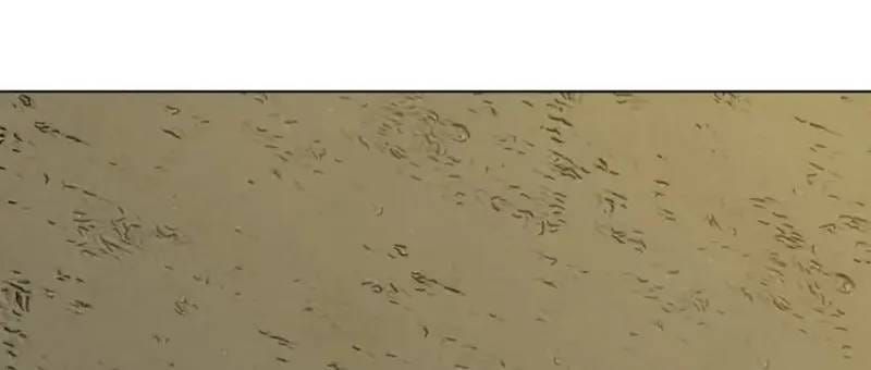 Đấu Sĩ Xác Sống Chapter 63 - 168