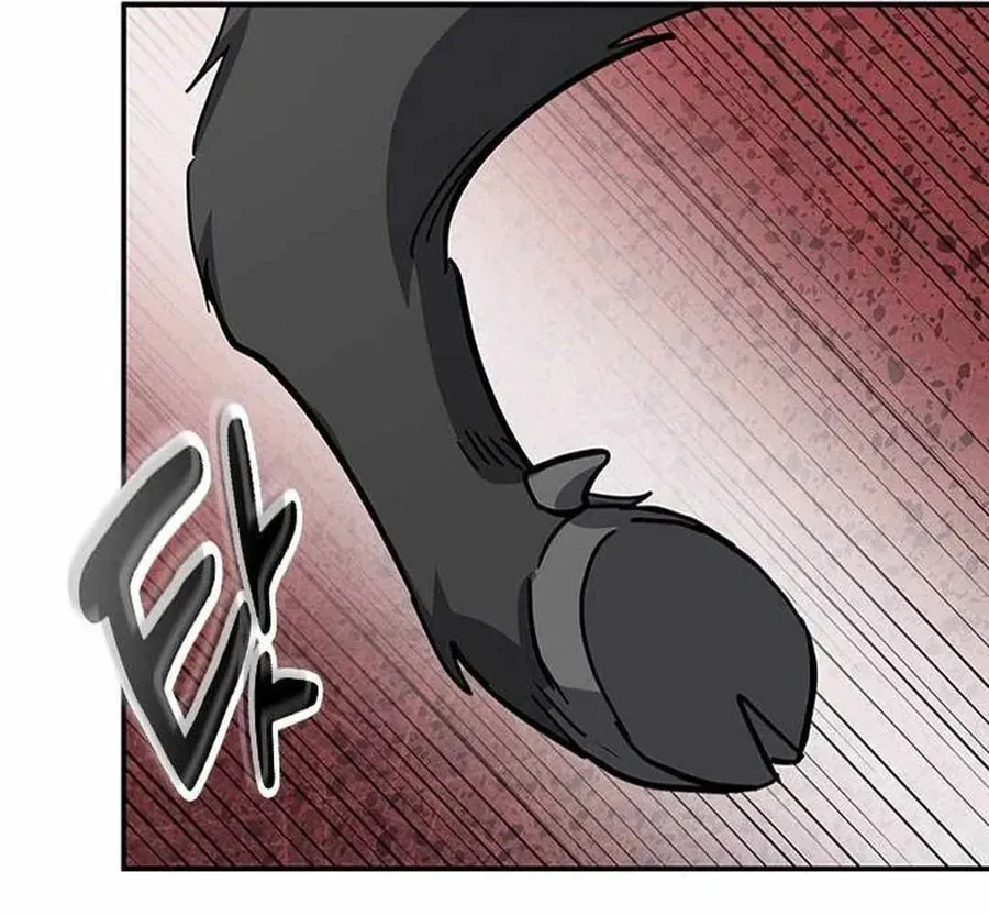 Bác Sĩ Thú Y Ở Dị Giới Chapter 40 - 91